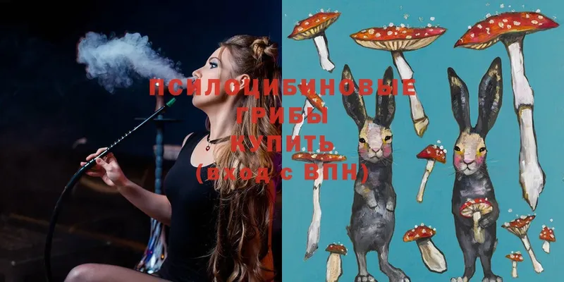 Галлюциногенные грибы Magic Shrooms  Тырныауз 